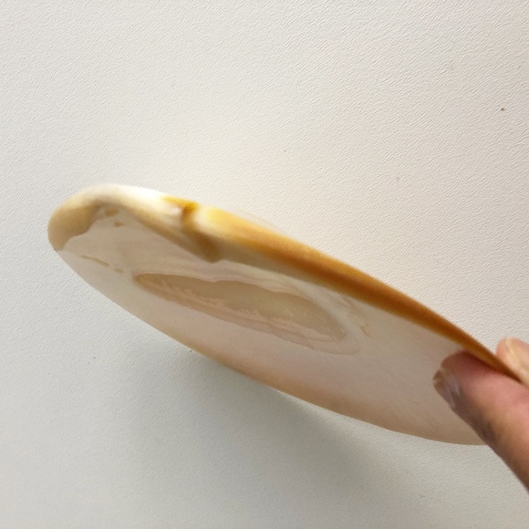 2 Natural Abalone Mother of Pearl Plates Palette M - Picture 3 of 8